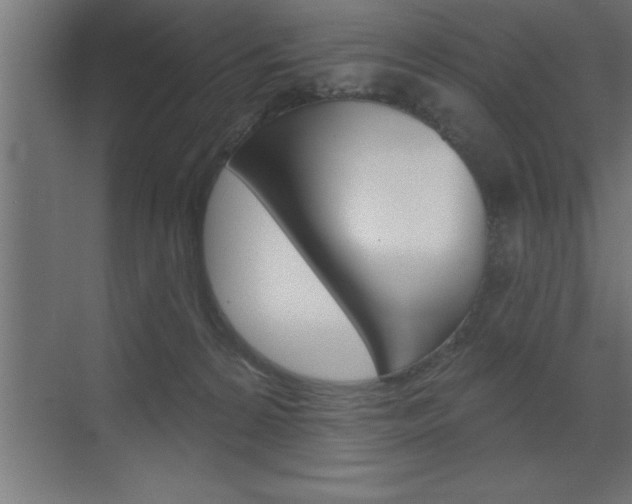 X0000072920224200607210914