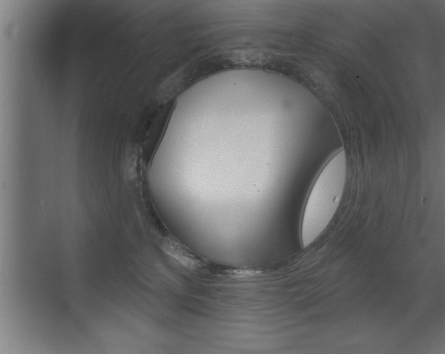 X0000072920233200607210914
