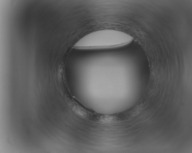 X0000072920235200607210914