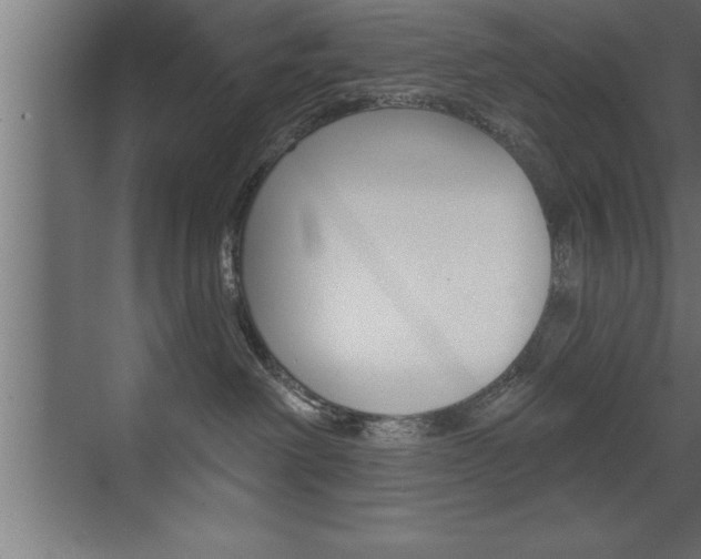X0000072920238200607210914