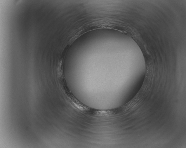X0000072920239200607210914