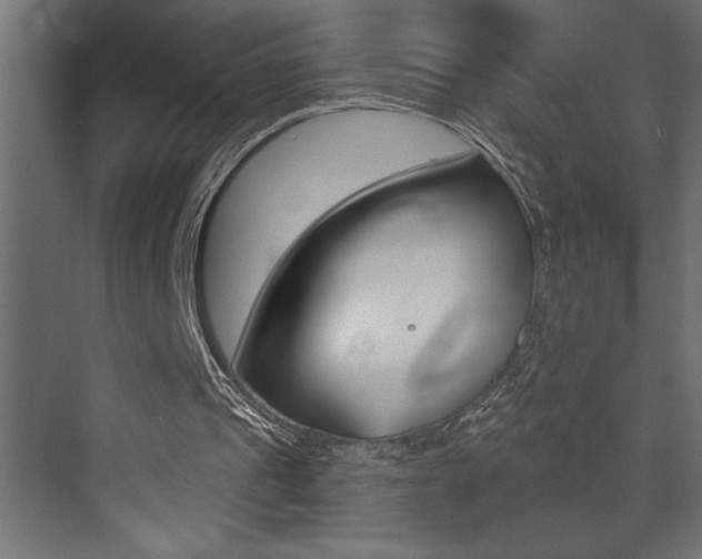 X0000072920241200607210913