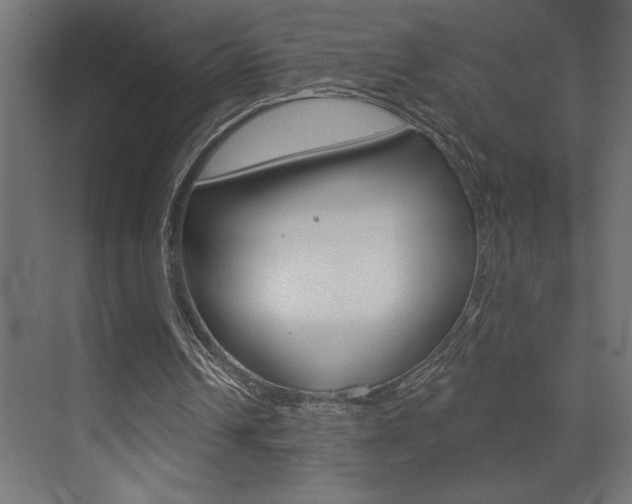 X0000072920242200607210913
