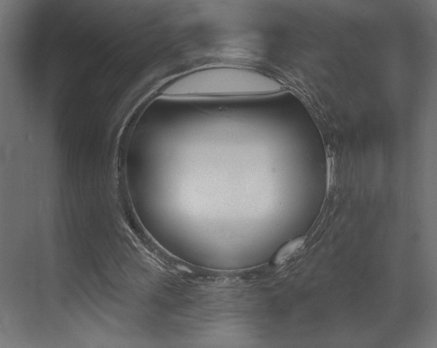 X0000072920243200607210913