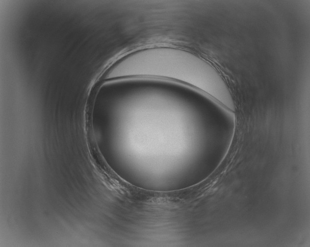 X0000072920244200607210913
