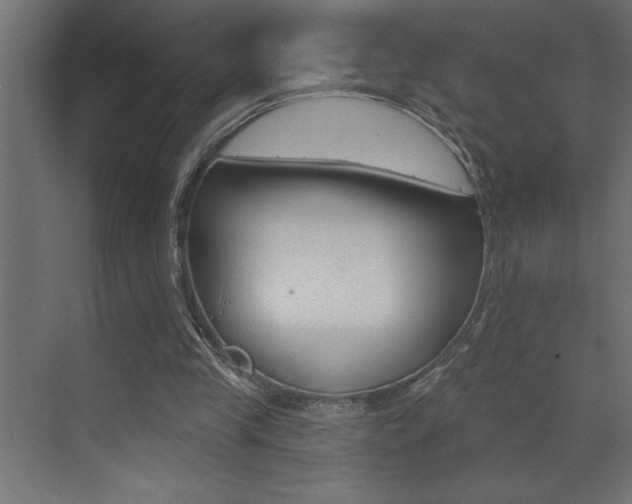 X0000072920245200607210913