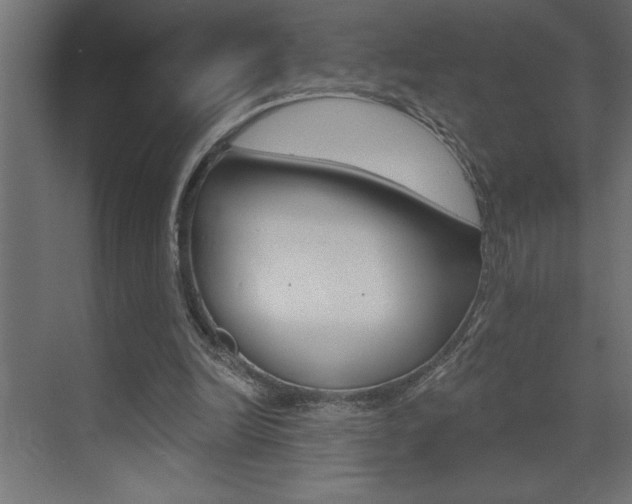 X0000072920246200607210913