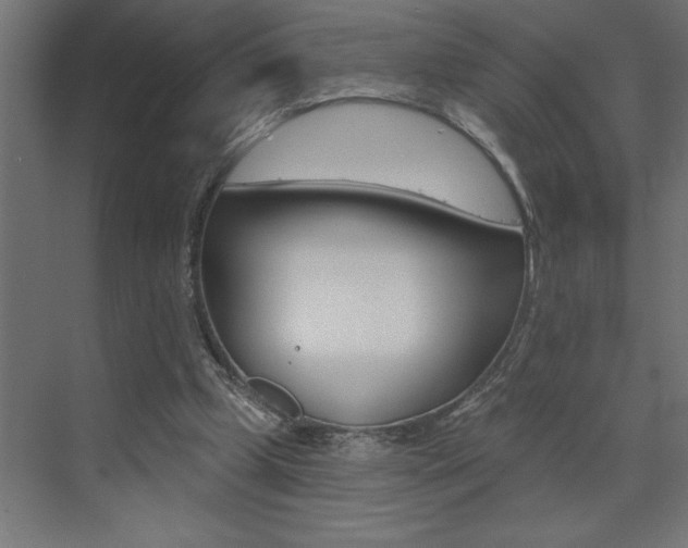 X0000072920249200607210913