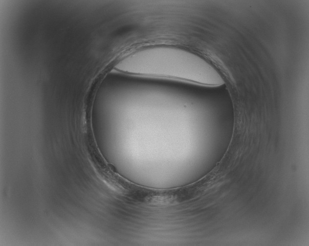 X0000072920251200607210913