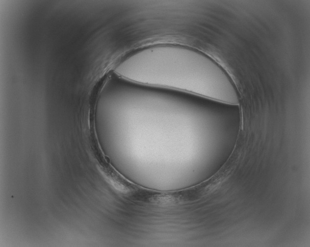 X0000072920253200607210913