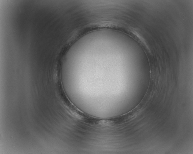 X0000072920261200607210914