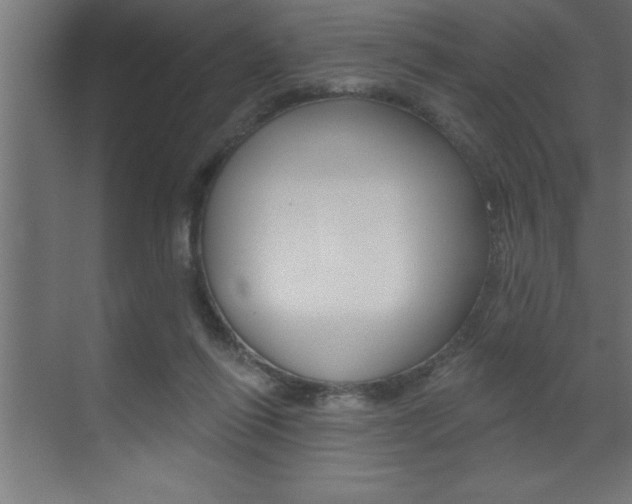 X0000072920262200607210914
