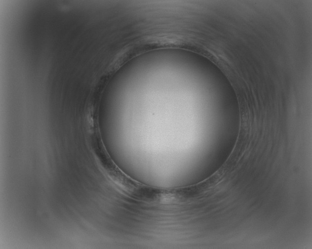 X0000072920264200607210914