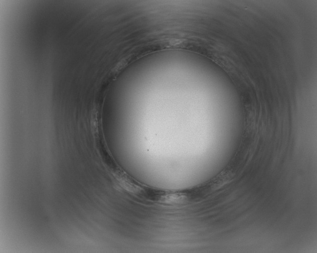 X0000072920274200607210914