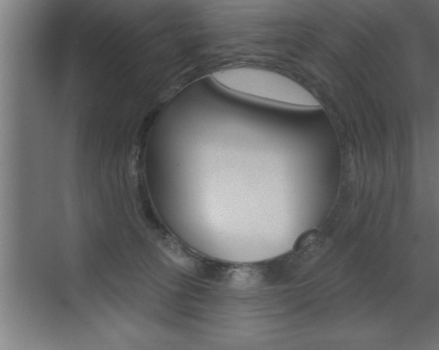 X0000072920275200607210914