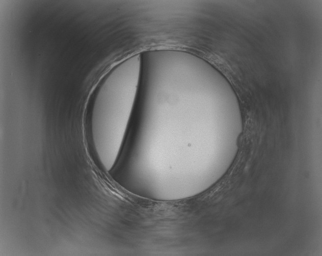 X0000072920290200607210913