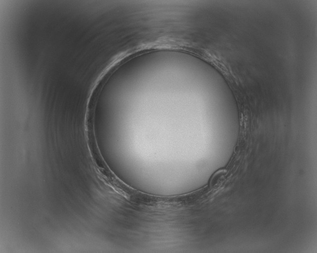 X0000072920292200607210913