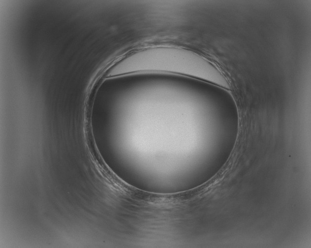 X0000072920293200607210913