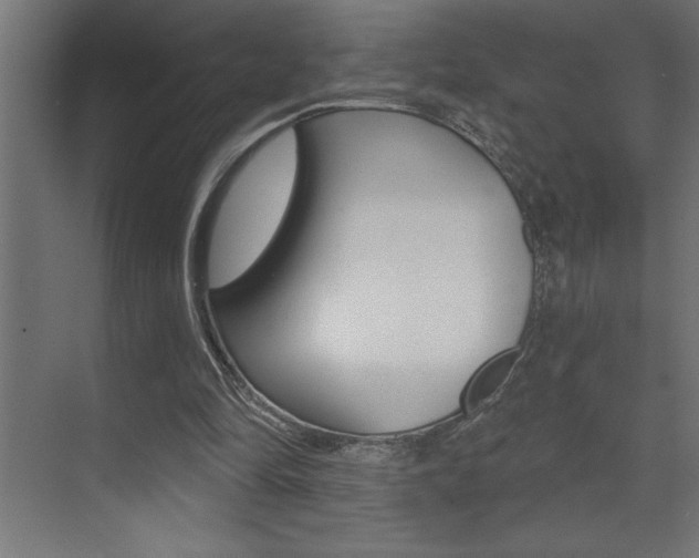 X0000072920294200607210913