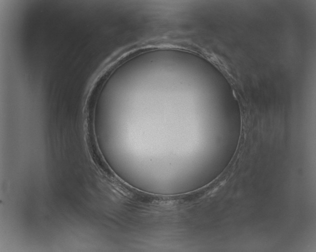 X0000072920295200607210913
