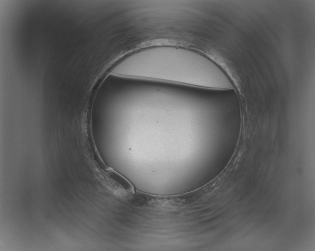 X0000072920297200607210913