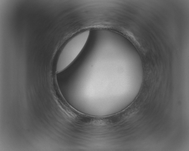 X0000072920299200607210913