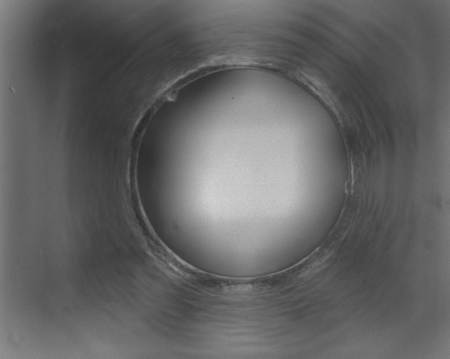 X0000072920301200607210913