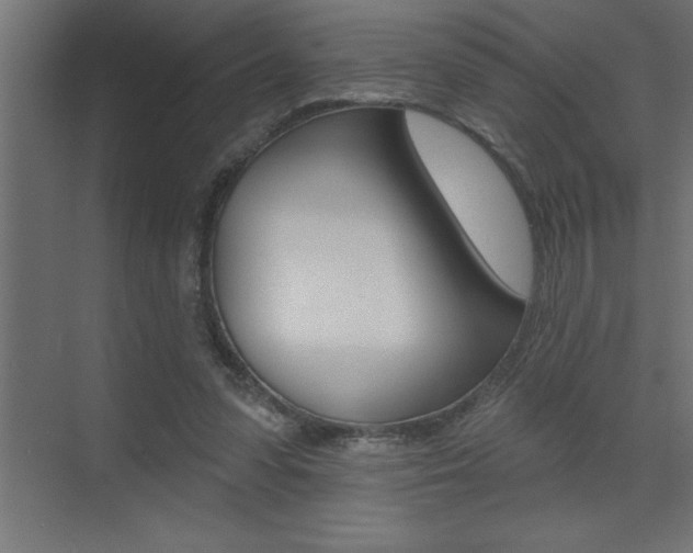 X0000072920303200607210913
