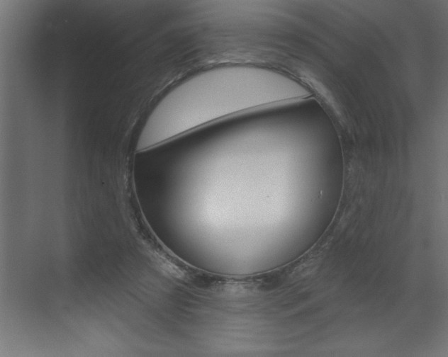X0000072920305200607210913