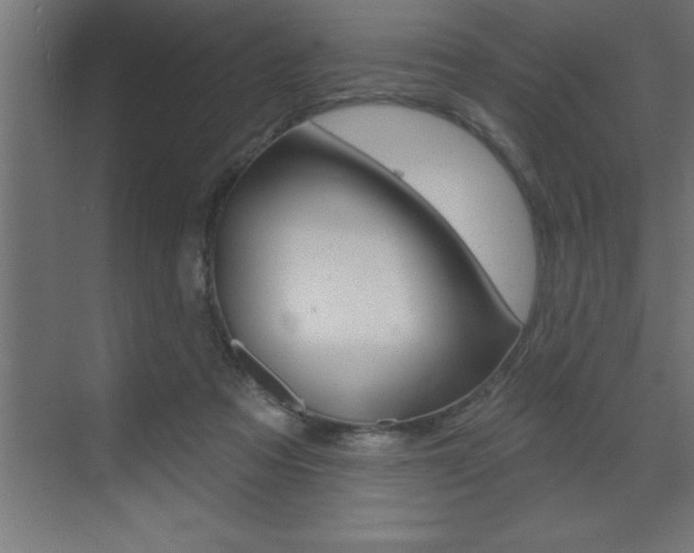 X0000072920313200607210913