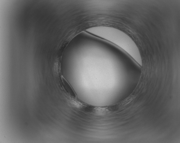 X0000072920333200607210912