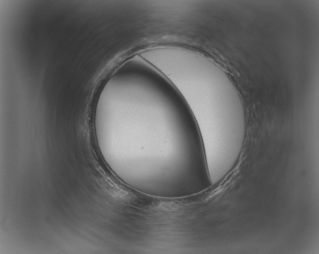 X0000072920341200607210912
