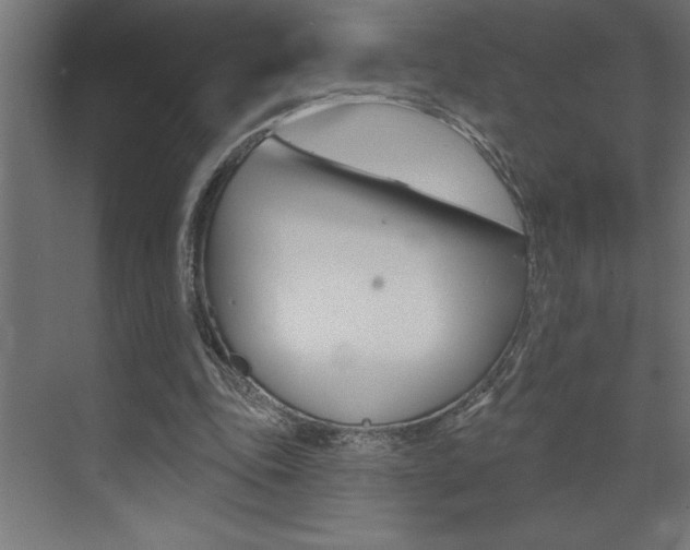 X0000072920343200607210912