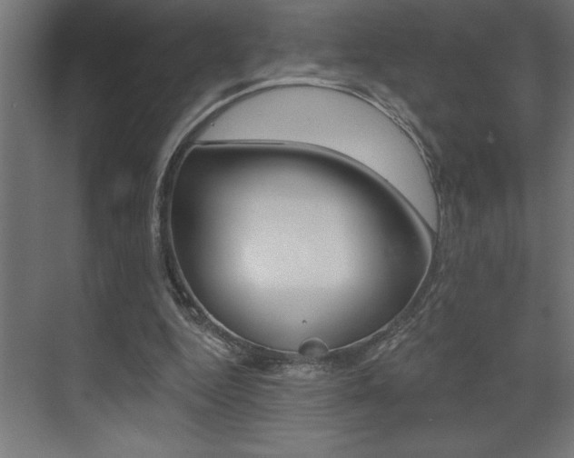 X0000072920344200607210912