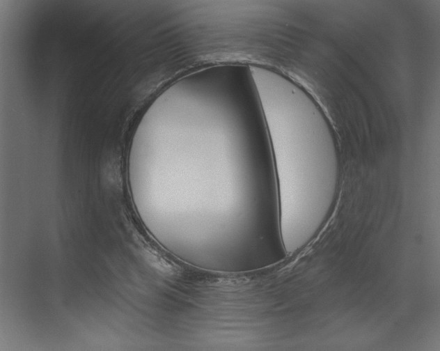 X0000072920345200607210912