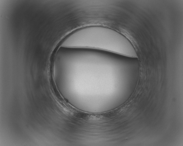 X0000072920346200607210912