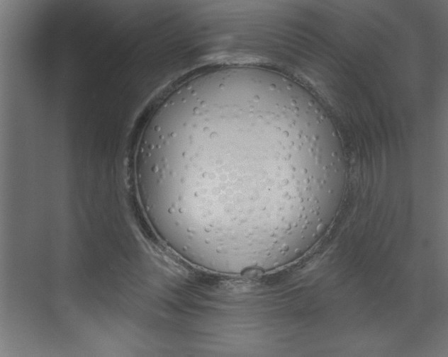 X0000072920351200607210912