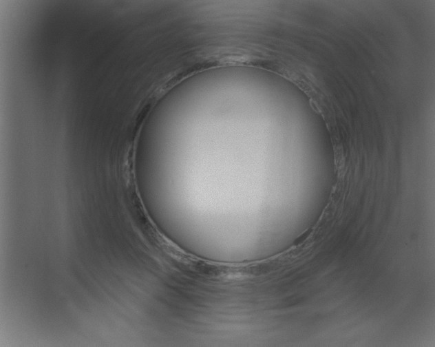 X0000072920360200607210912