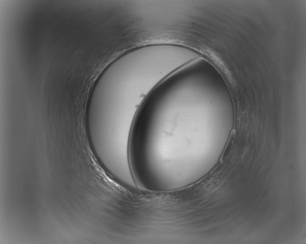 X0000072920385200607210912