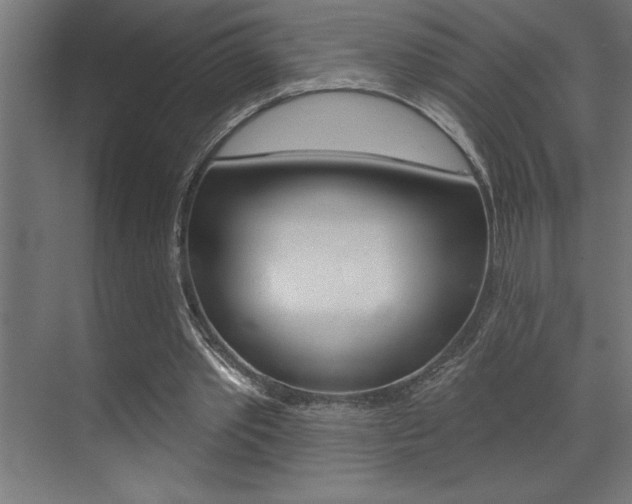 X0000072920389200607210912
