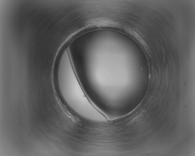X0000072920391200607210912