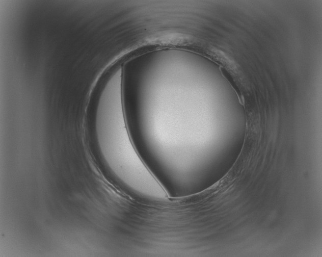 X0000072920392200607210911