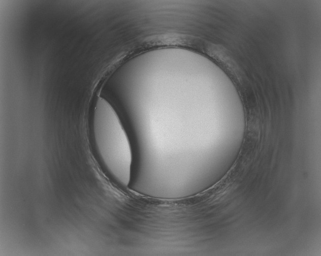 X0000072920394200607210911