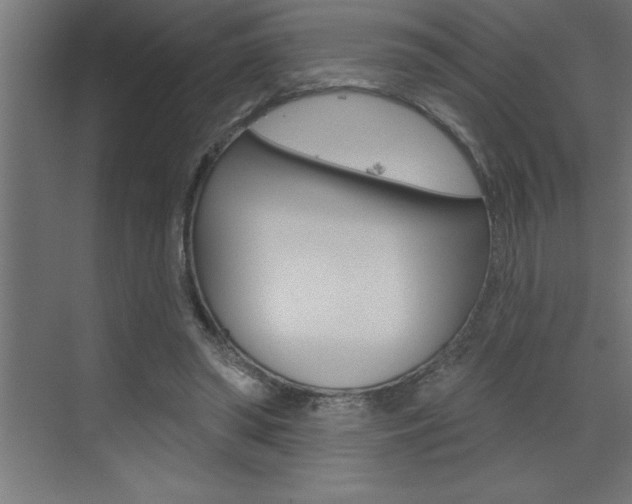 X0000072920398200607210911