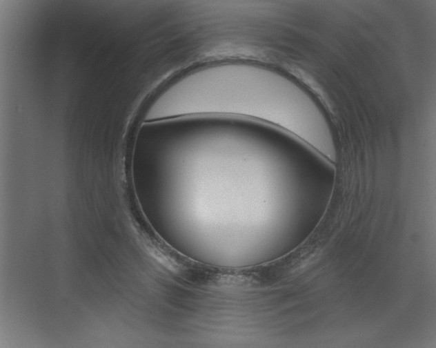 X0000072920399200607210911