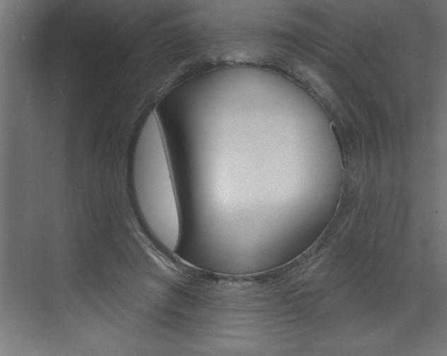 X0000072920401200607210911