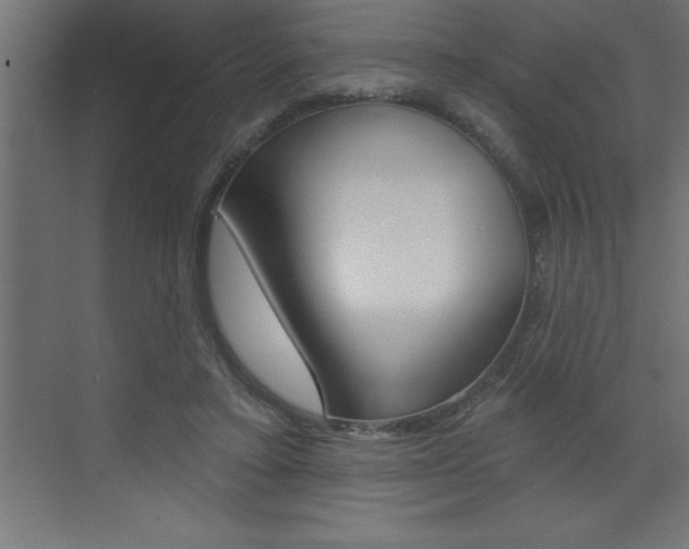 X0000072920403200607210911