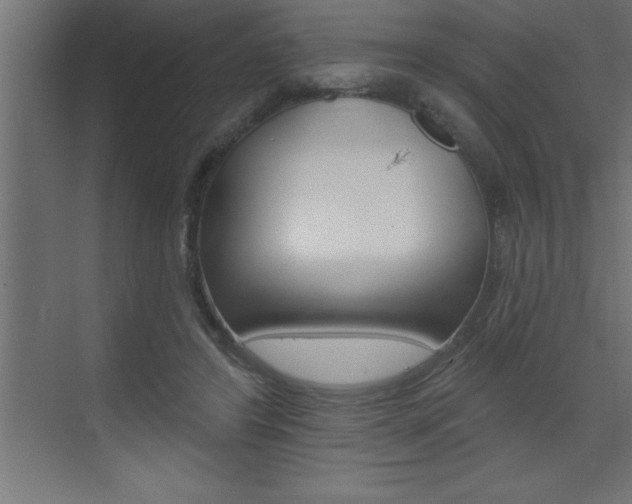 X0000072920404200607210911