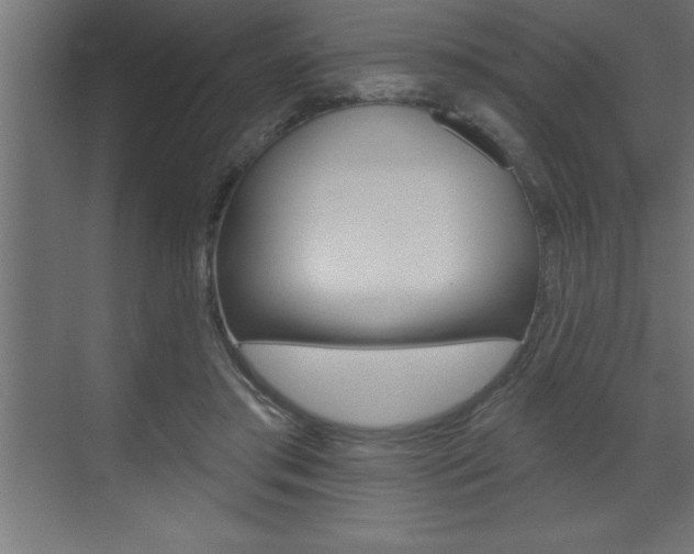 X0000072920405200607210911