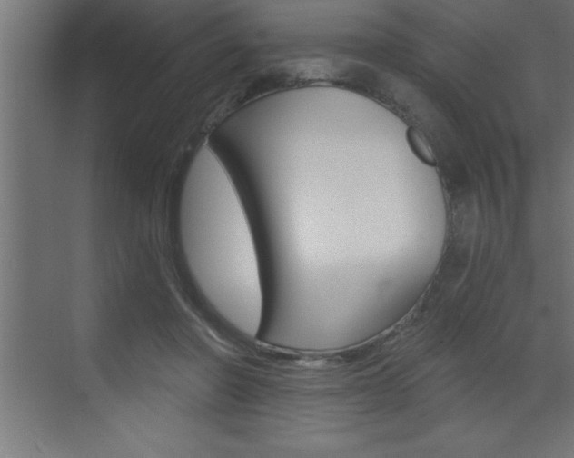 X0000072920406200607210911